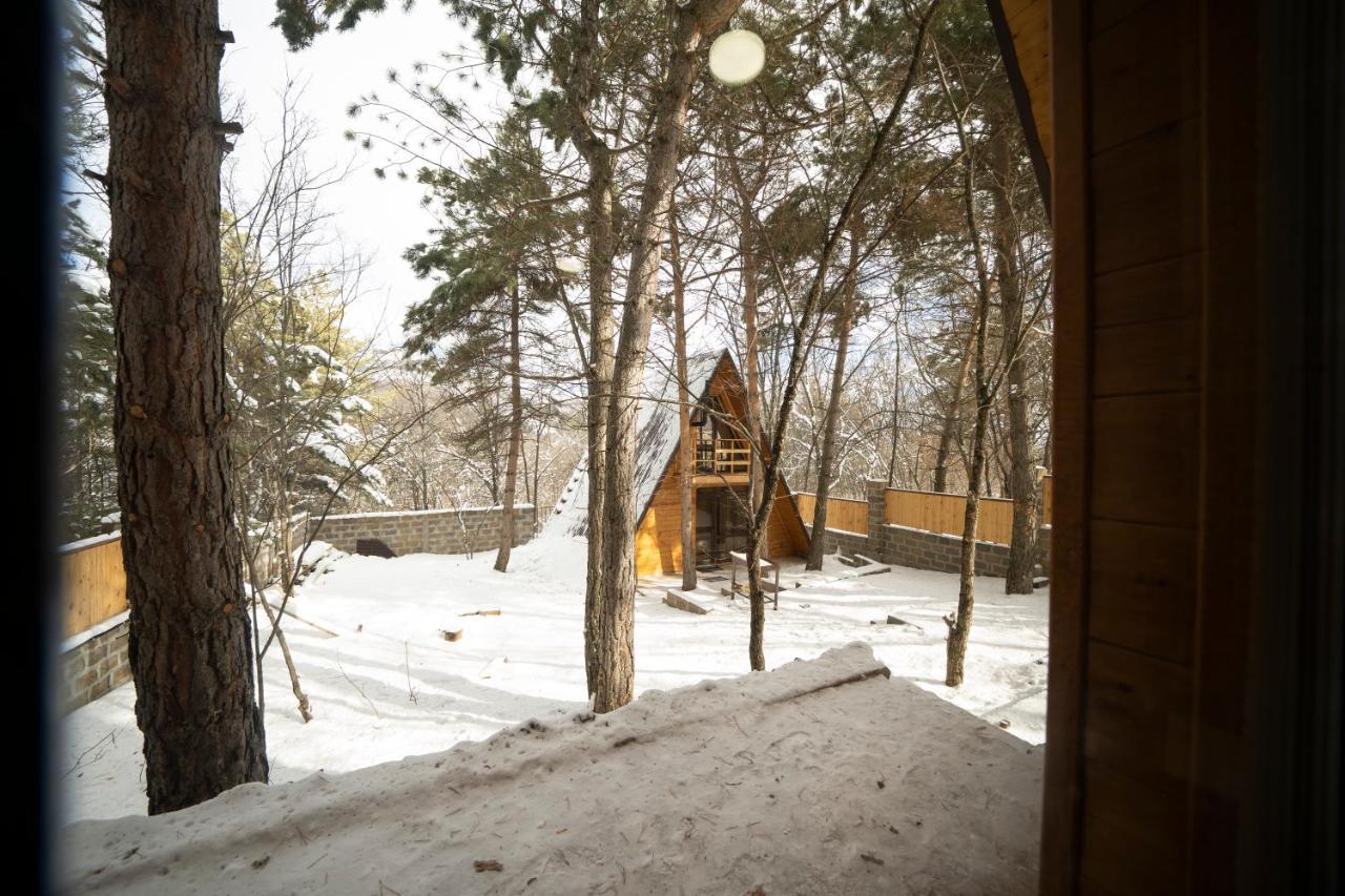 צ'אקאדזור Woodland Cottages מראה חיצוני תמונה