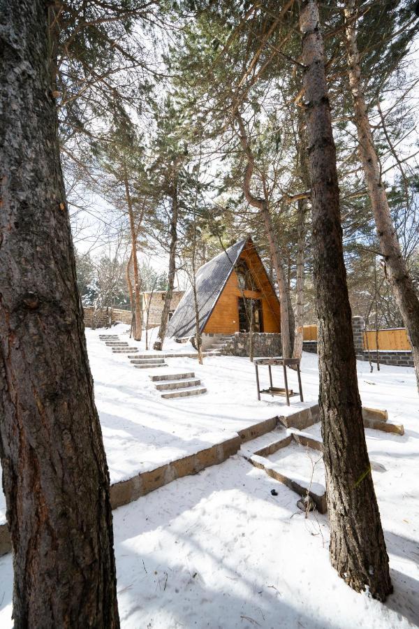 צ'אקאדזור Woodland Cottages מראה חיצוני תמונה